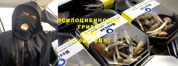 2c-b Осинники