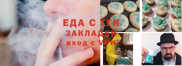 индика Ельня