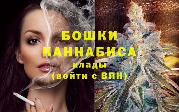 амф Осташков