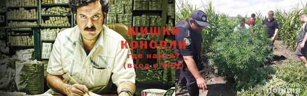 2c-b Осинники