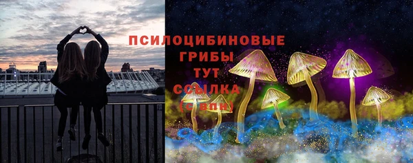 амф Осташков