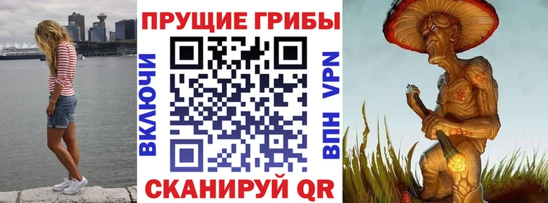 Галлюциногенные грибы GOLDEN TEACHER Асбест