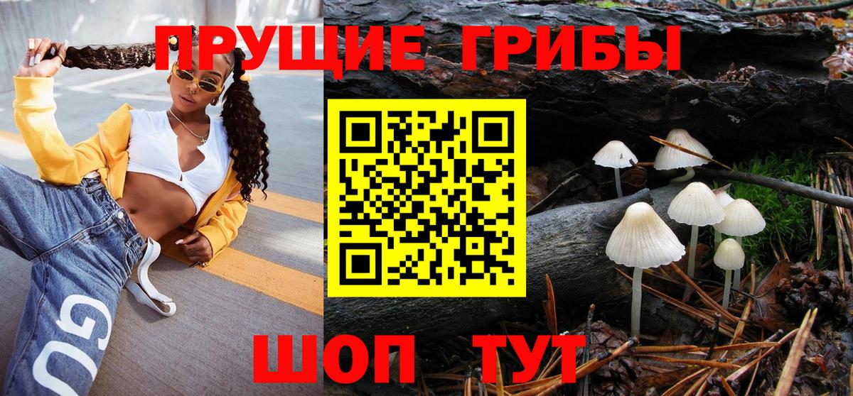 Псилоцибиновые грибы Cubensis Асбест